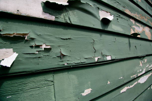 Best Siding Painting and Refinishing  in Homeland, CA